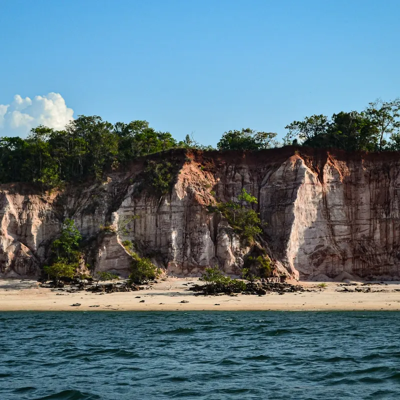 Alter do chao (amazon river)