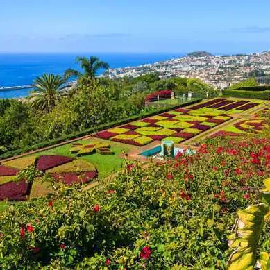 Funchal (madeira)