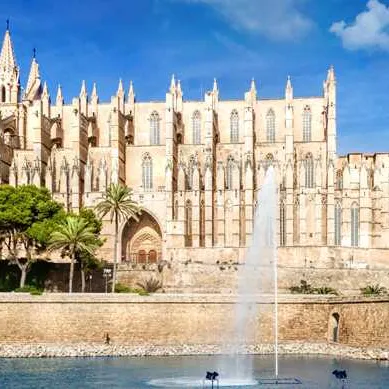 Palma de mallorca